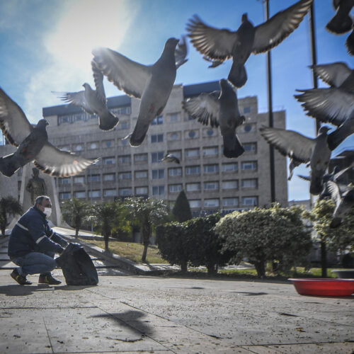 BESLEME_DSC2032
