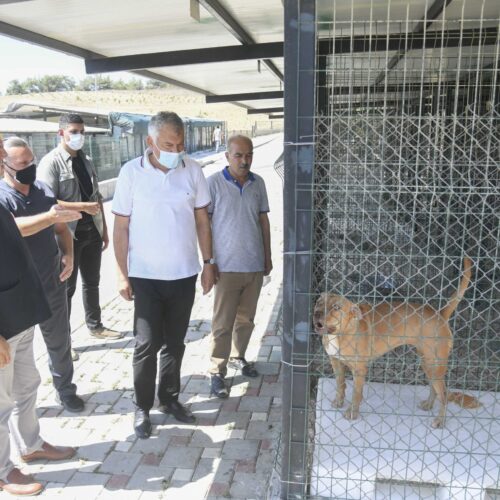 ZEYDAN KARALAR HAYVAN BARINAĞI ZİYARETİ_9