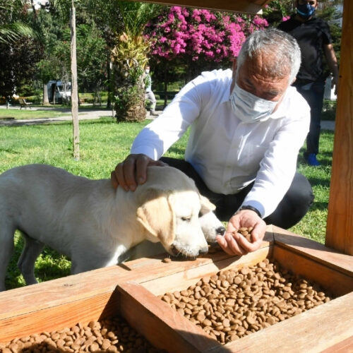 zeydan başkan baırnak ziyareti